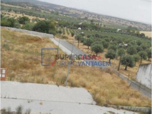 Terreno em Alvito