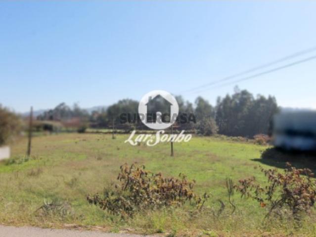 Terreno em Alvito São Pedro e São Martinho e Couto