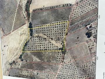 Terreno em Amareleja