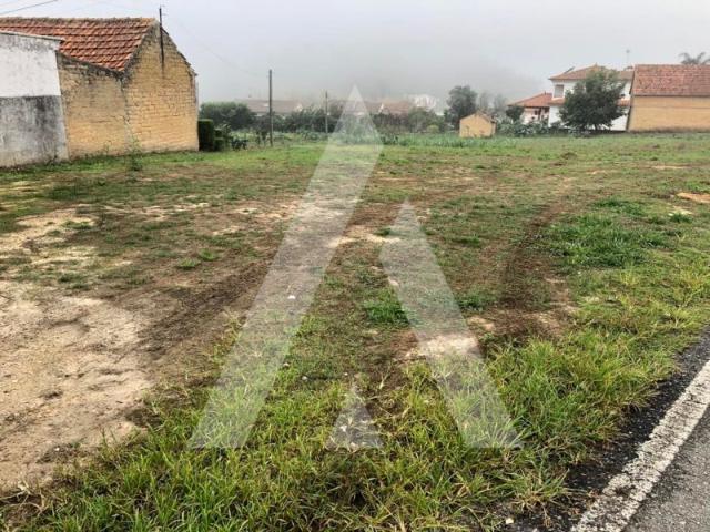 Terreno em Amoreira da Gândara