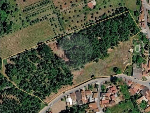 Terreno em Ançã