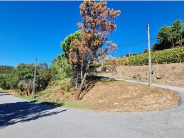 Terreno em Ancede e Ribadouro
