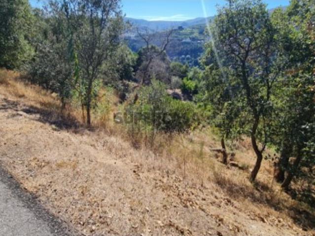 Terreno em Ancede e Ribadouro