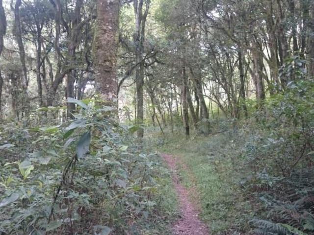 Terreno em Ana Rech