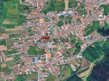 Terreno em Albergaria a Velha e Valmaior