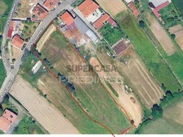 Terreno em Angeja
