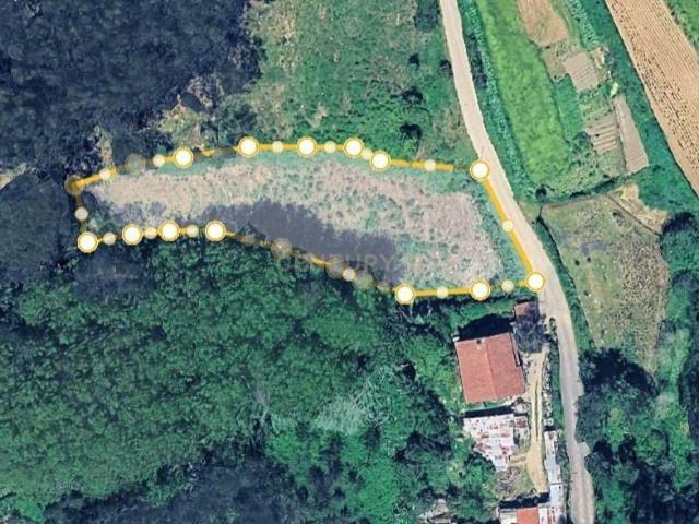 Terreno em Angeja, Albergaria a Velha