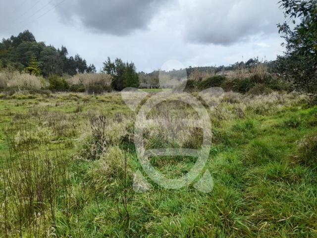Terreno em Antanhol