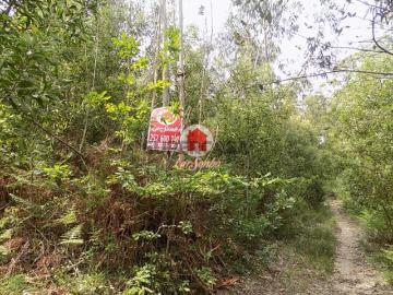 Não urbanizável em Antas e Abade de Vermoim