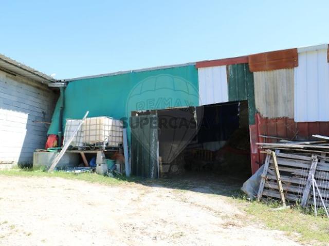 Terreno em Antuzede e Vil de Matos