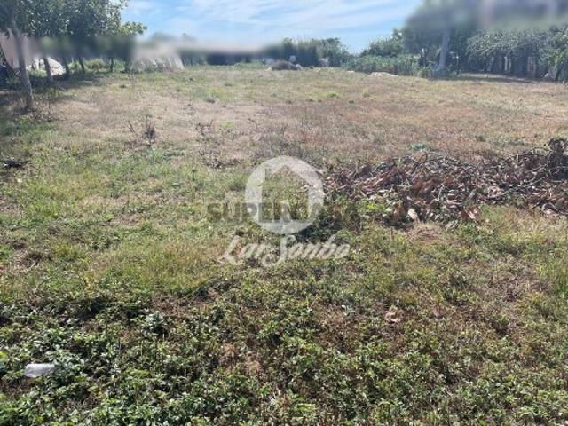 Terreno em Apúlia