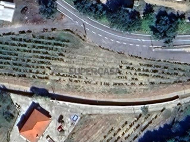Terreno em Arco de Baúlhe e Vila Nune