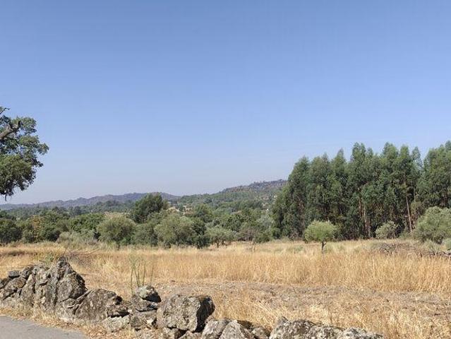 Terreno em Aranhas