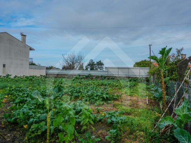 Terreno em Arazede