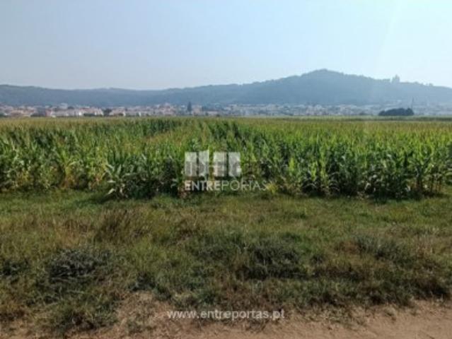 Terreno em Areosa