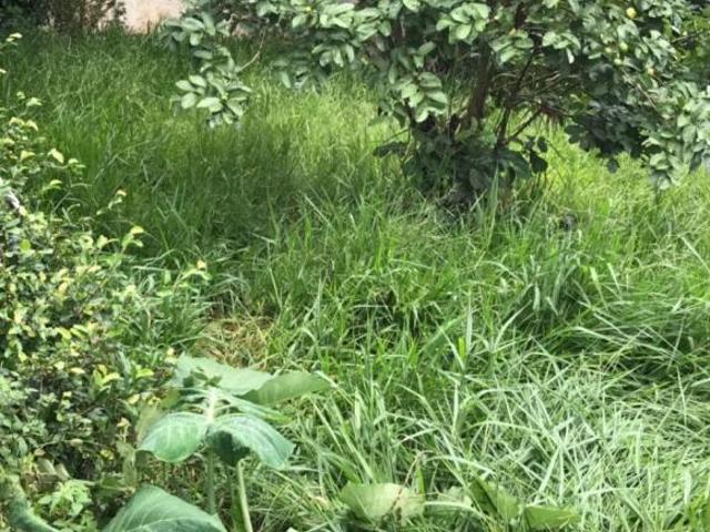 Terreno em área nobre