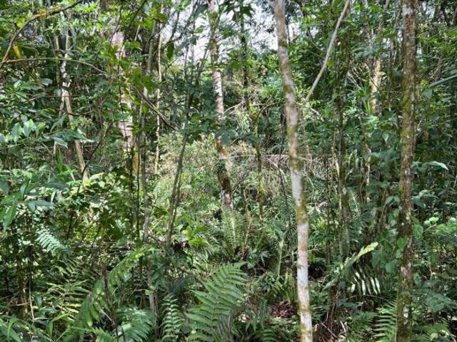 Terreno em Areia Branca dos Assis