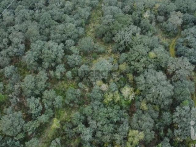 Terreno em Areias e Pias de 1080,00 m²
