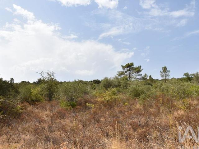 Terreno em Areias e Pias de 1600,00 m²