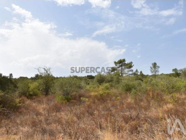 Terreno em Areias e Pias de 1600,00 m²