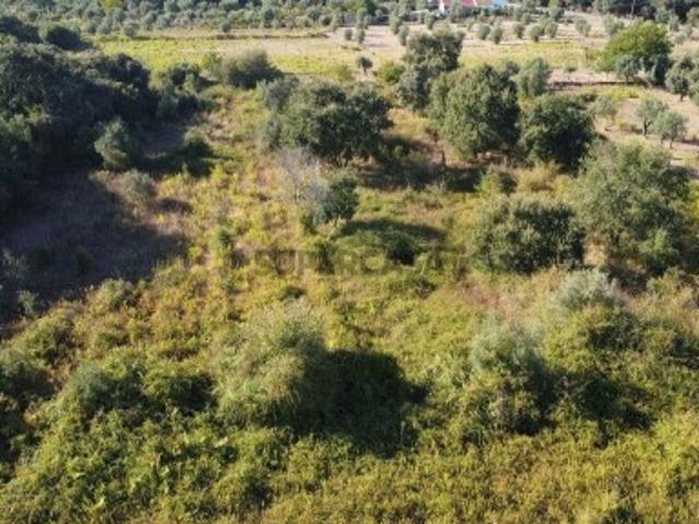 Terreno em Areias e Pias de 1850,00 m²