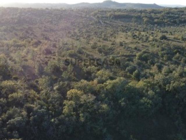 Terreno em Areias e Pias de 2560,00 m²