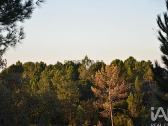 Terreno em Areias e Pias de 5240,00 m²