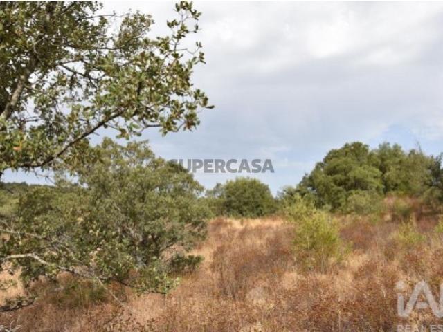 Terreno em Areias e Pias de 5640,00 m²