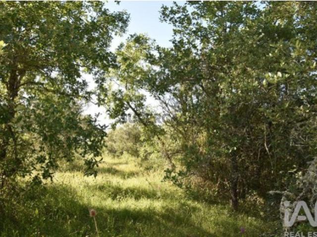 Terreno em Areias e Pias de 5960,00 m²