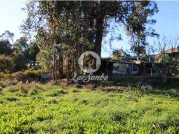 Terreno em Areias, Sequeiró, Lama e Palmeira
