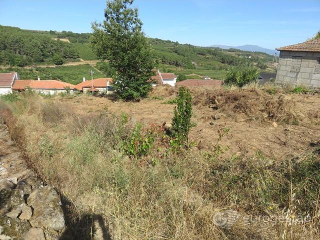 Terreno em Armamar