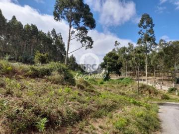 Terreno em Arnoso Santa Maria e Santa Eulália e Sezures