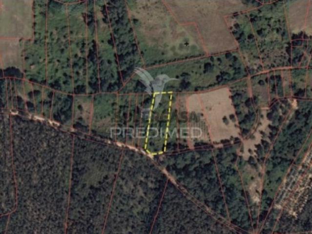 Terreno em Arneiro das Milhariças