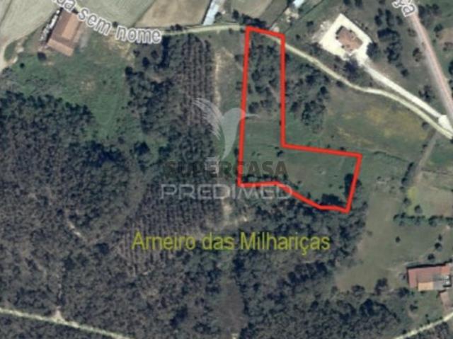 Terreno em Arneiro das Milhariças