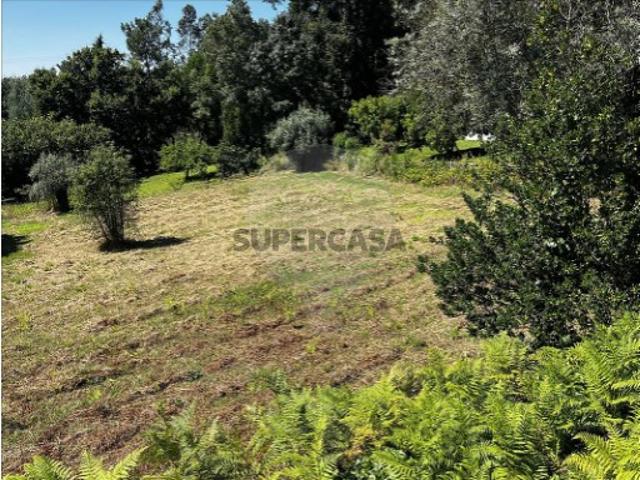Terreno em Arrifana