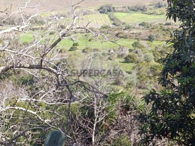 Terreno em Arruda dos Vinhos