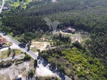 Terreno em Asseiceira