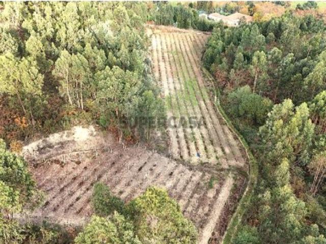 Terreno em Bucos