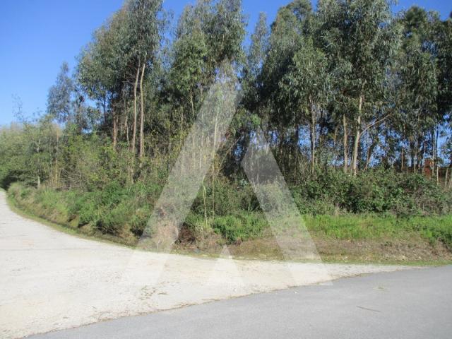 Terreno em Bustos