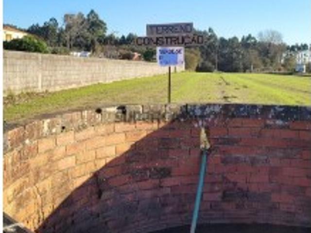 Terreno em Bustos, Troviscal e Mamarrosa