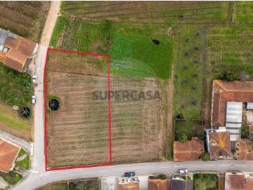 Terreno em Bustos, Troviscal e Mamarrosa