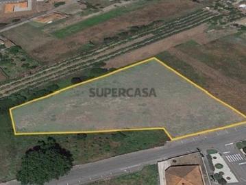 Não urbanizável em Bustos, Troviscal e Mamarrosa