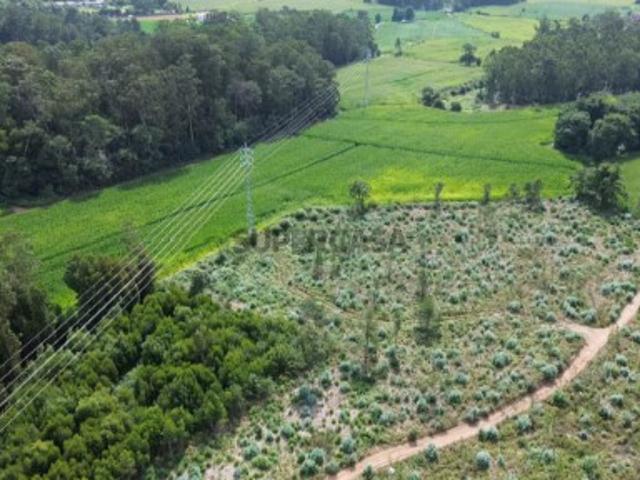 Terreno em Bagunte, Ferreiró, Outeiro Maior e Parada