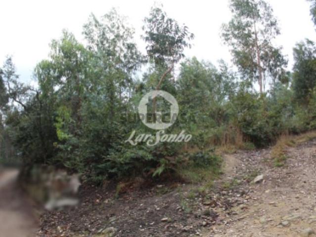 Não urbanizável em Bagunte, Ferreiró, Outeiro Maior e Parada