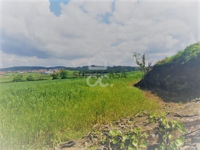 Terreno em Balazar