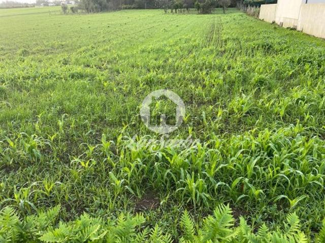 Terreno em Balazar