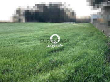 Terreno em Balazar