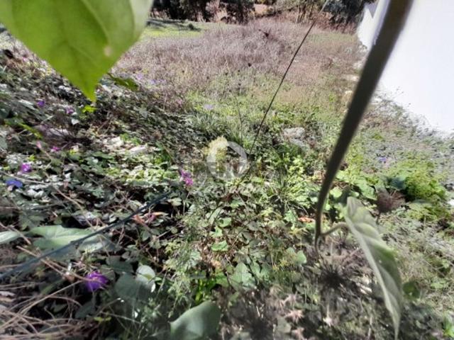 Terreno em Balazar