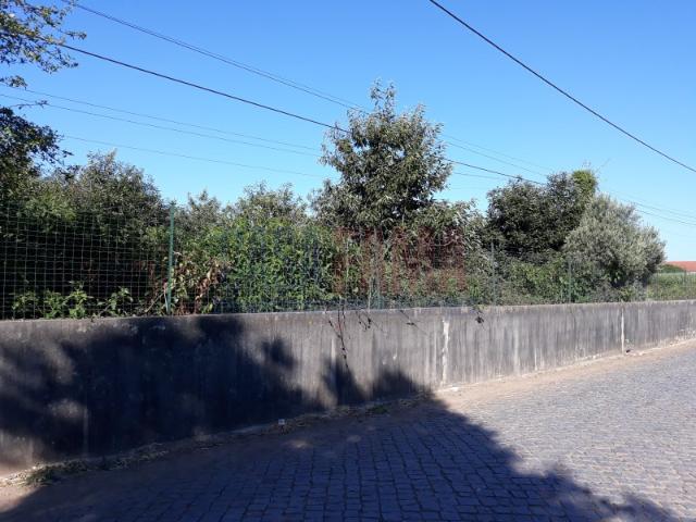 Terreno em Balazar Póvoa de Varzim