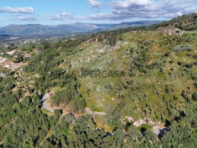 Terreno em Basto
